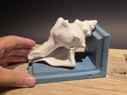 Antique Style Pair of Cast Iron Conch Shell Bookends Old Paint