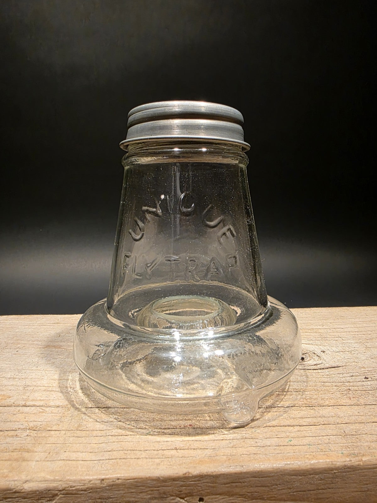 6 1/2" Antique Vintage Style Table Top Blown Glass Fly Wasp Insect Trap Catcher