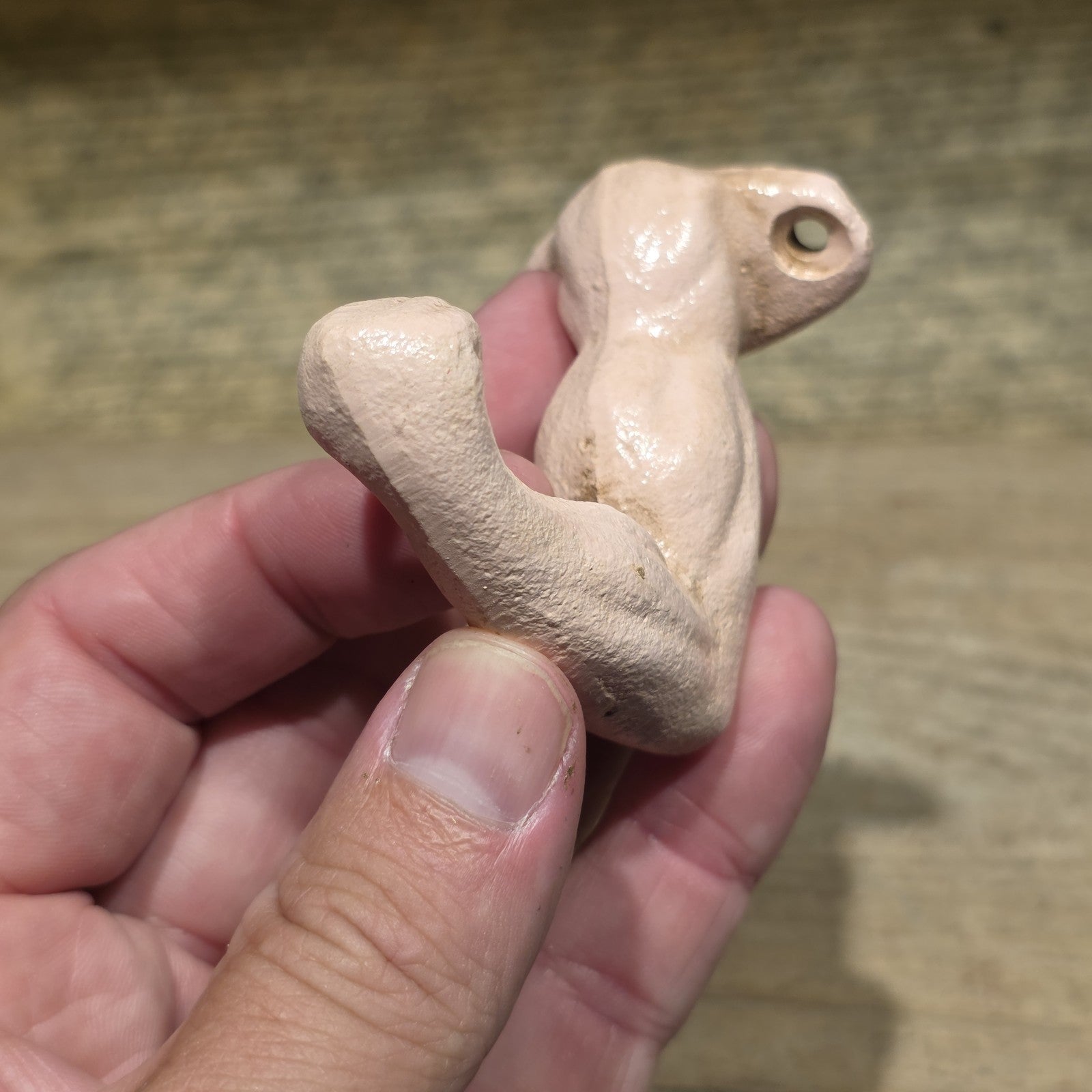 3" Cast Iron Arm Wall Hook – Folk Art Anatomical Coat Hat Hook