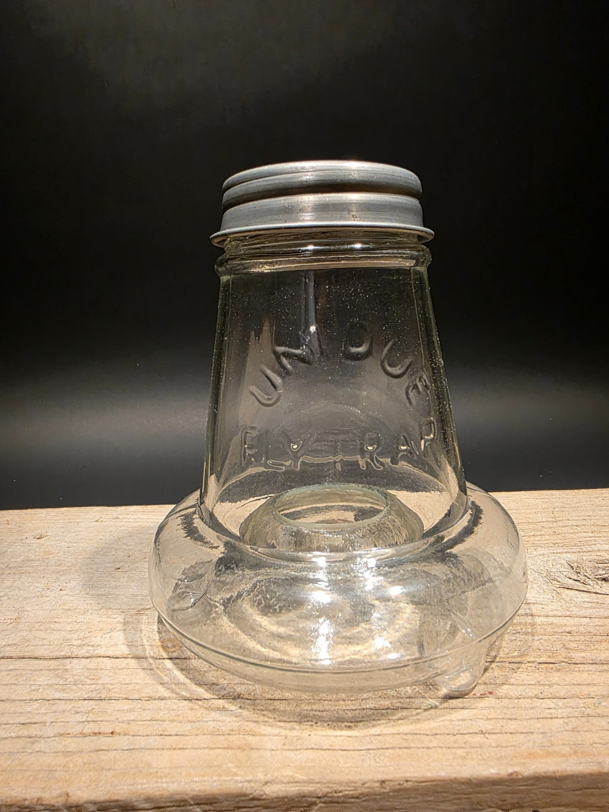 6 1/2" Antique Vintage Style Table Top Blown Glass Fly Wasp Insect Trap Catcher