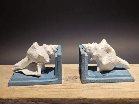 Antique Style Pair of Cast Iron Conch Shell Bookends Old Paint