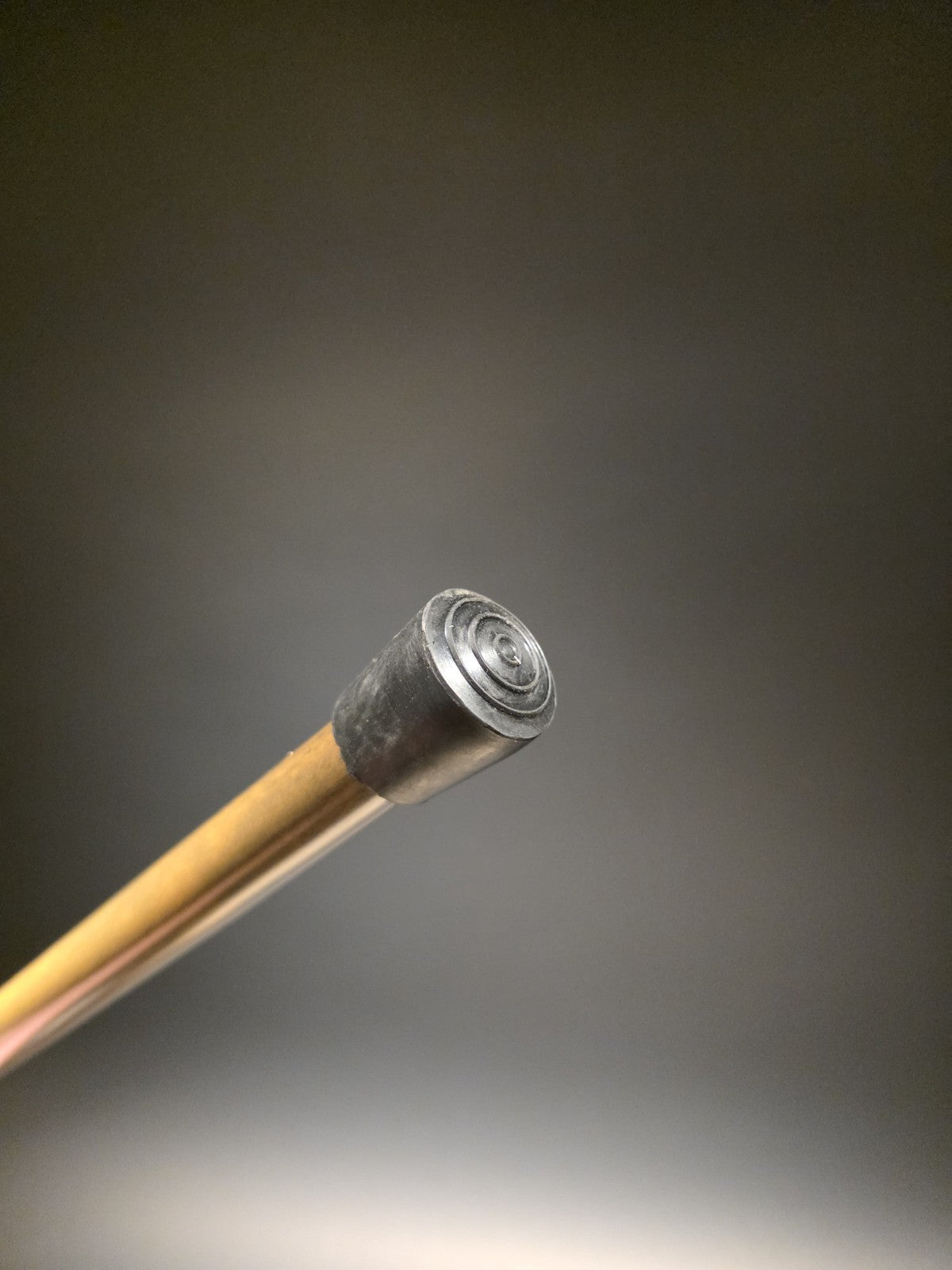 36" Antique Style Parrot Head Walking Stick Cane