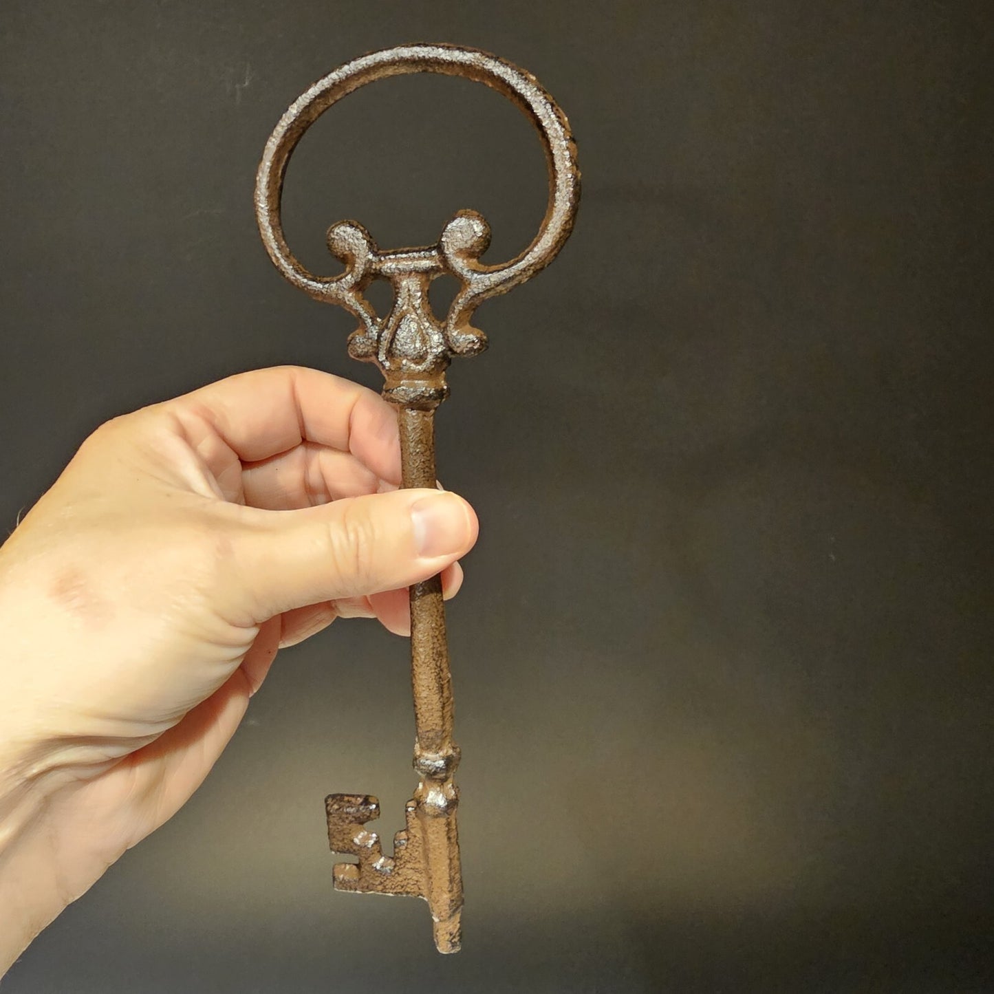 Antique Vintage Style Cast Iron Large Ornate Skeleton Key 