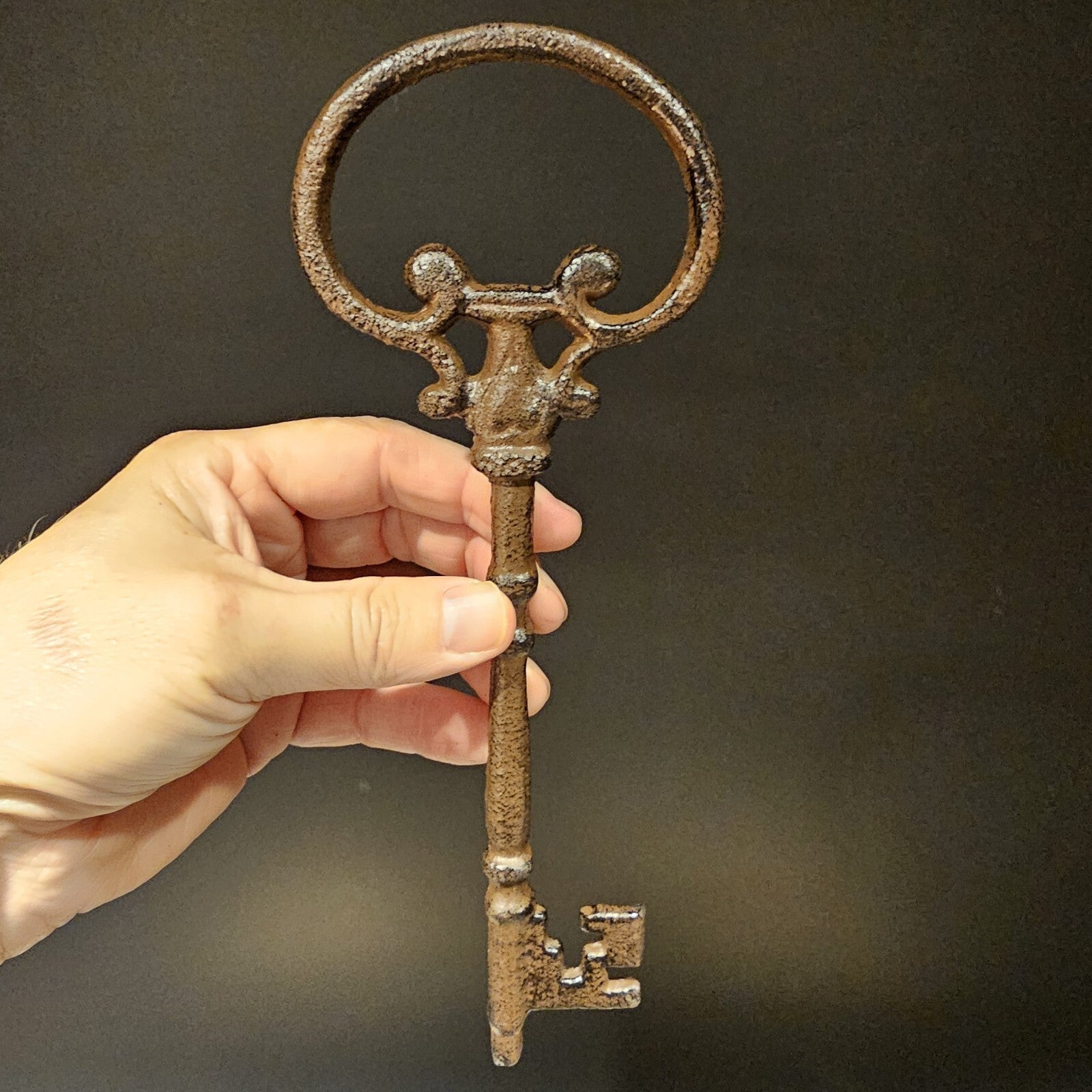 Antique Vintage Style Cast Iron Large Ornate Skeleton Key 