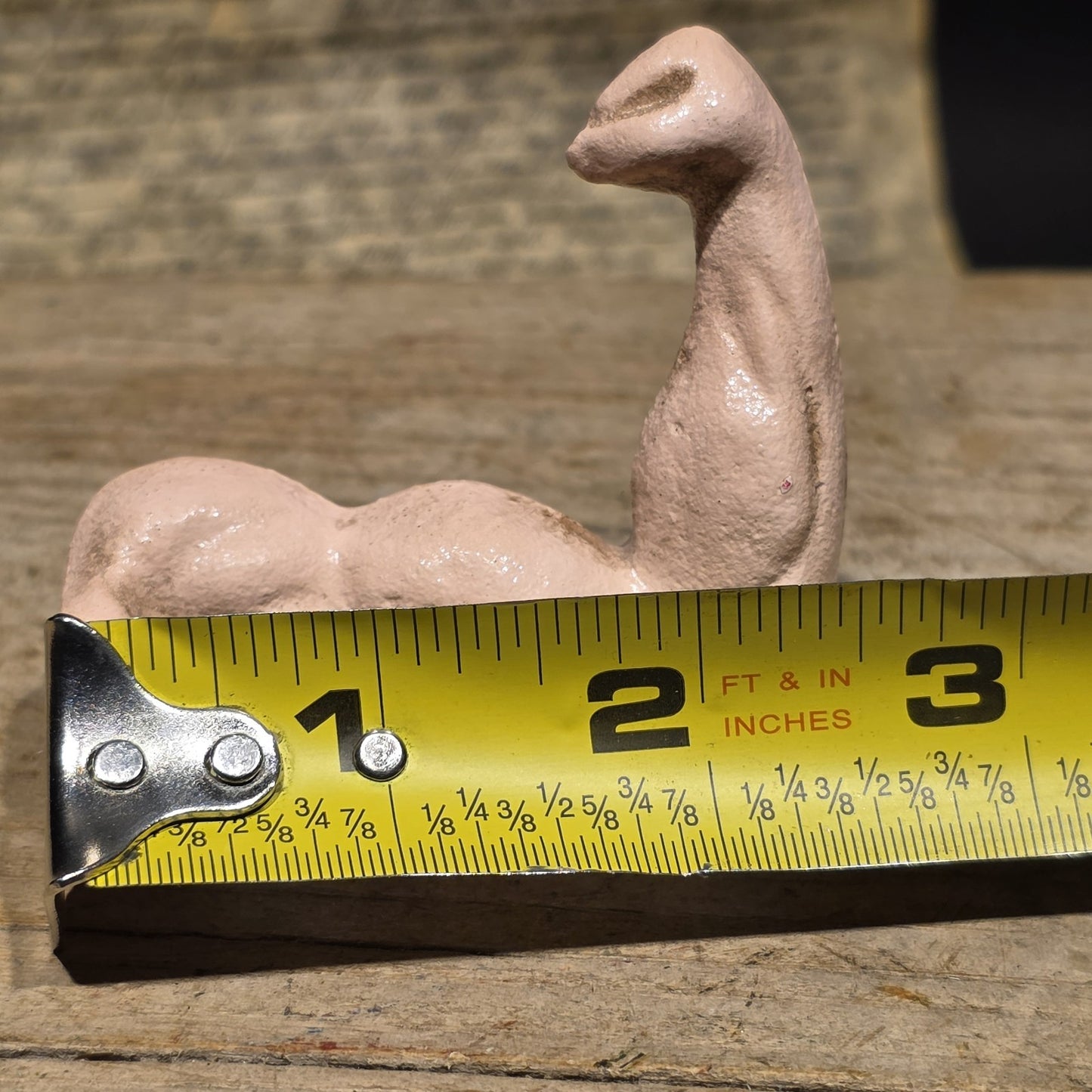 3" Cast Iron Arm Wall Hook – Folk Art Anatomical Coat Hat Hook