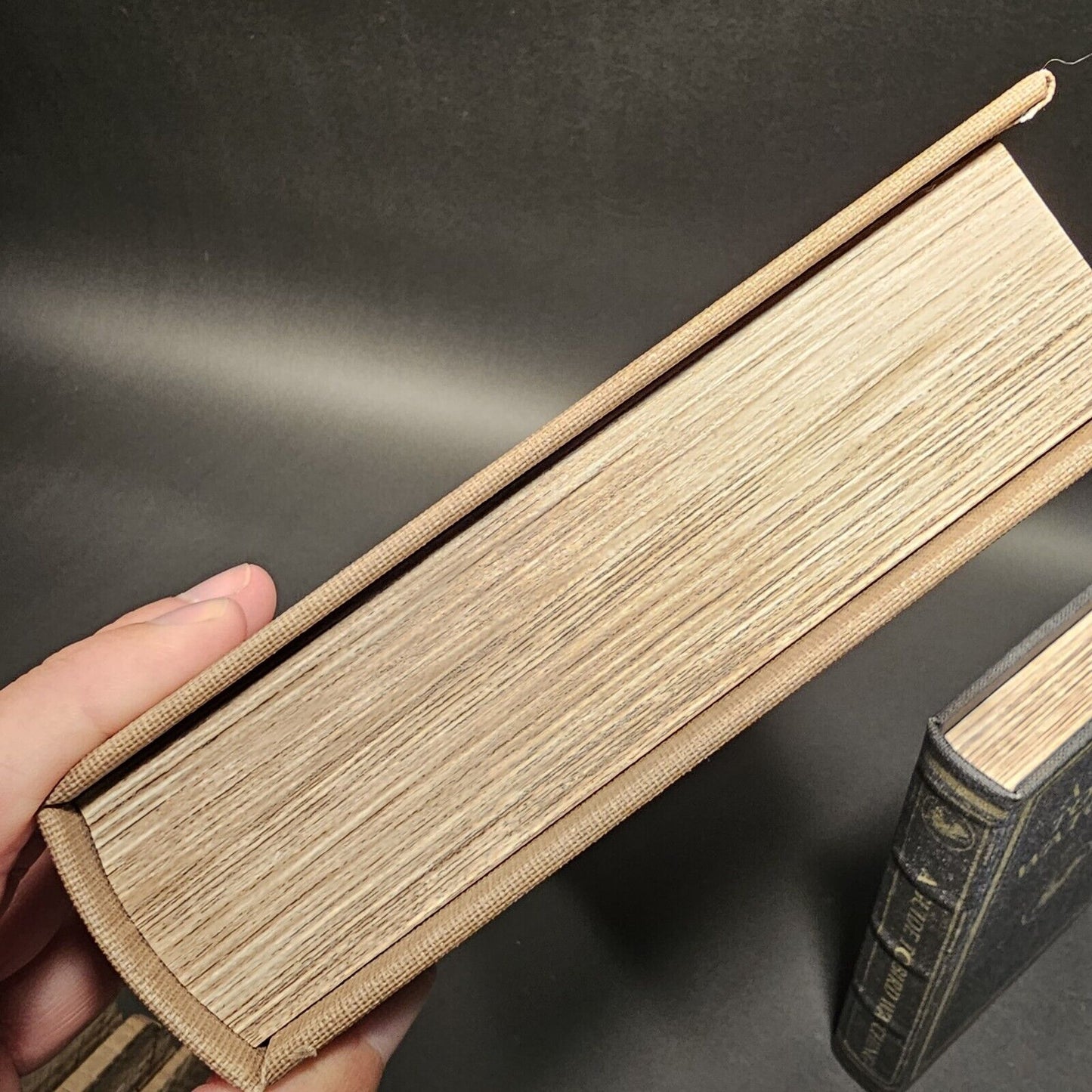 2 Vintage Style Faux Book Secret Storage Boxes
